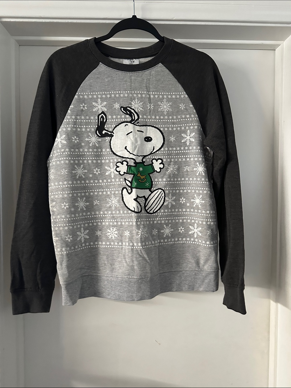 Snoopy Graphic Crewneck Sweater - Gray & Dark Charcoal. Never worn!